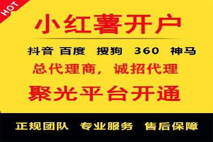 信息流广告的崛起：以某电商平台为例